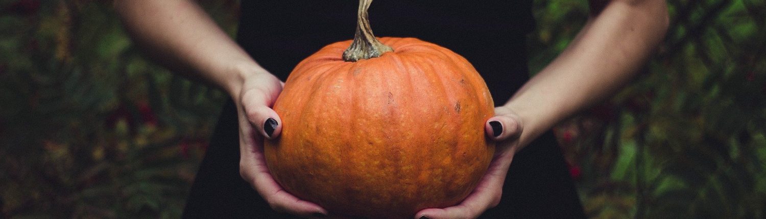 pumpkin-1838545_1920